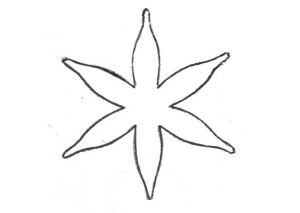 Calyx 6 petal - 1757